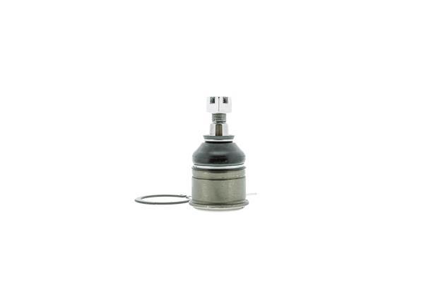 Rotule de suspension (Rotule de pivot) AISIN JBJHO-004